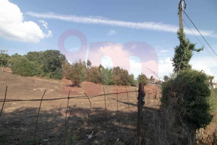 Terreno para Venda em Lama Foto 14