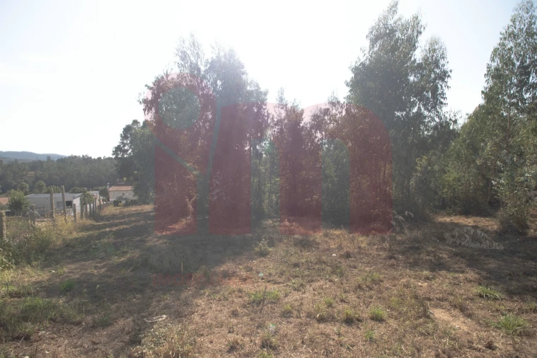 Terreno para Venda em Lama Foto 8