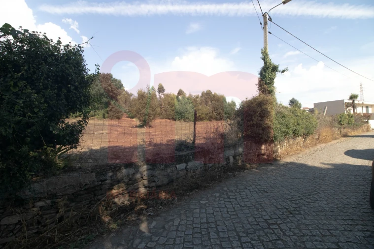 Terreno para Venda em Lama Foto 15