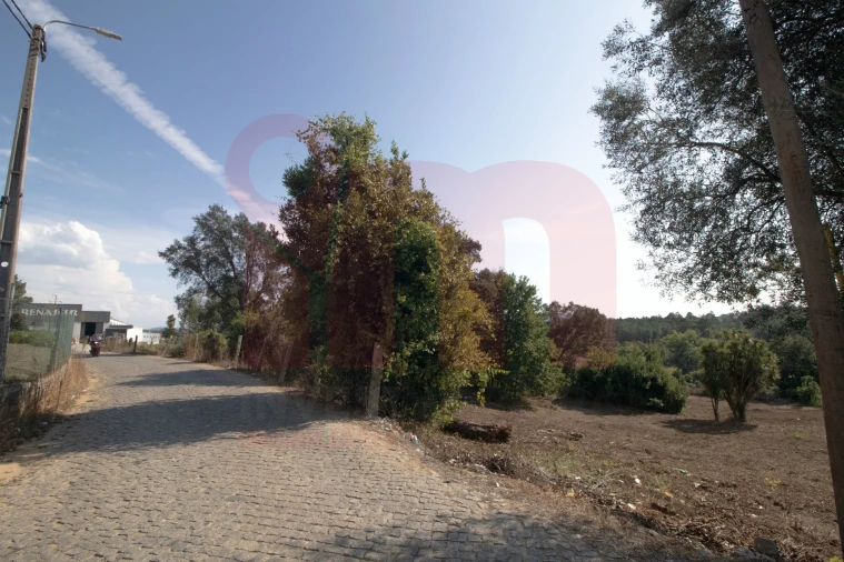 Terreno para Venda em Lama Foto 6