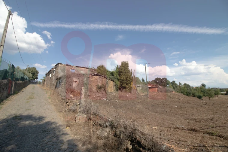 Terreno para Venda em Lama Foto 11