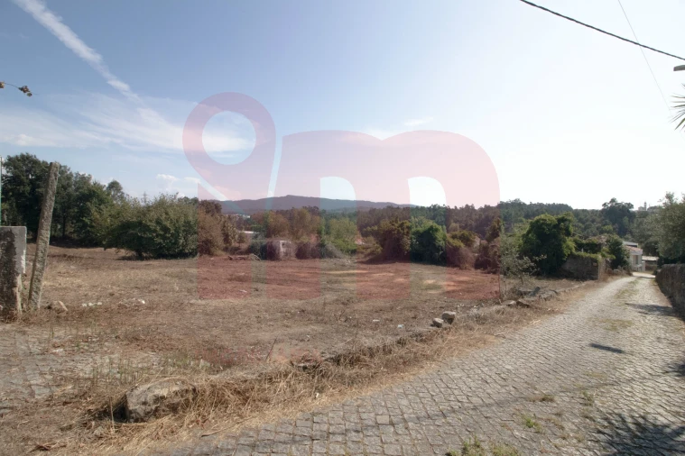 Terreno para Venda em Lama Foto 2