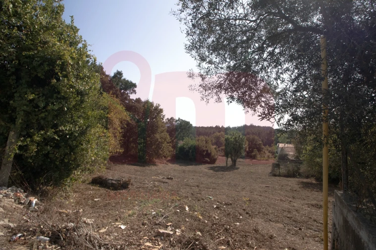 Terreno para Venda em Lama Foto 5