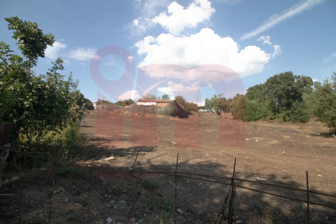 Terreno para Venda em Lama Foto 13