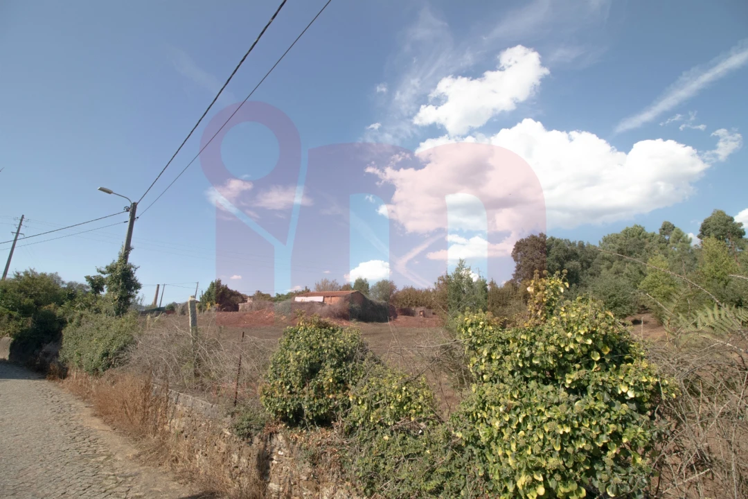 Terreno para Venda em Lama Foto 16