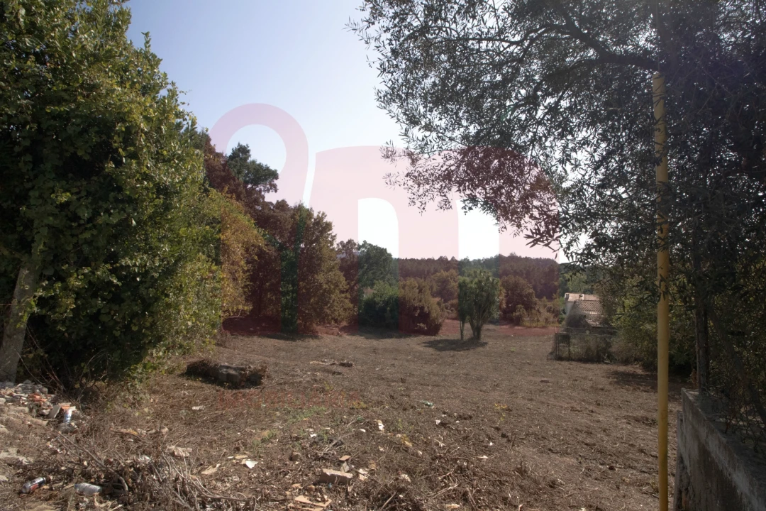 Terreno para Venda em Lama Foto 5