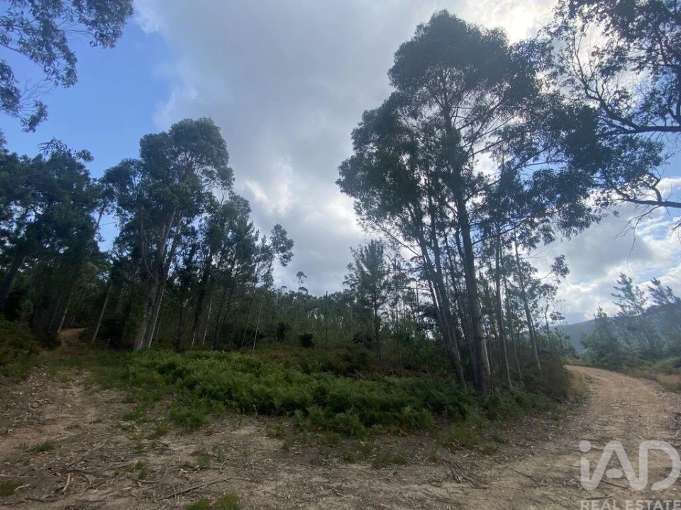 Terreno para Venda em Sopo Foto 21