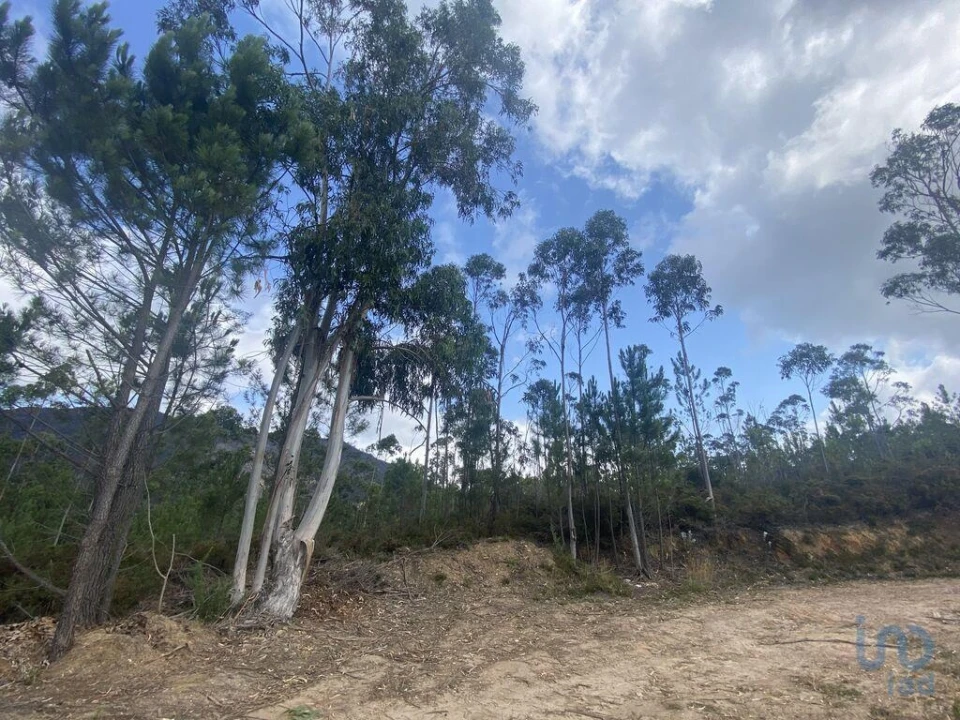 Terreno para Venda em Sopo Foto 9