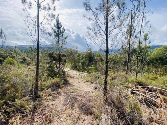 Terreno para Venda em Sopo Foto 16