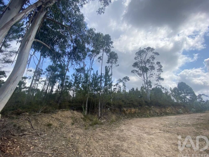 Terreno para Venda em Sopo Foto 19