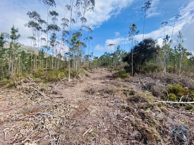 Terreno para Venda em Sopo Foto 12