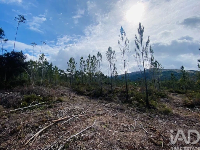 Terreno para Venda em Sopo Foto 23