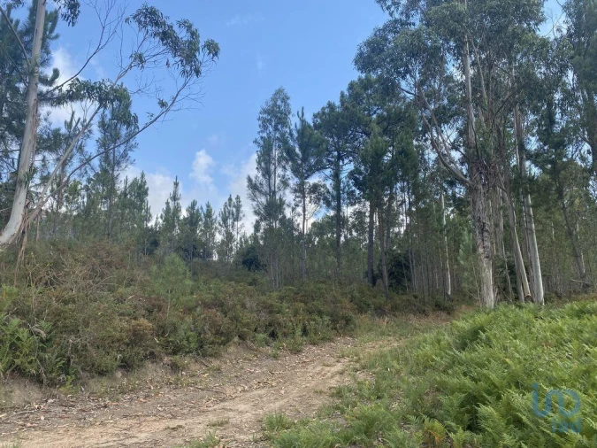 Terreno para Venda em Sopo Foto 7