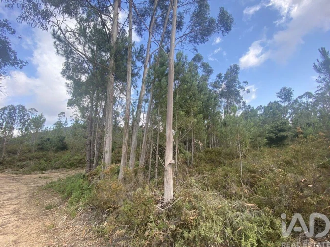 Terreno para Venda em Sopo Foto 17