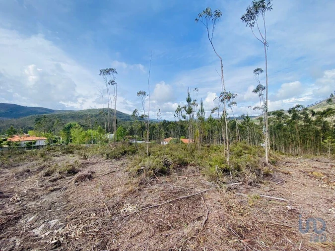 Terreno para Venda em Sopo Foto 13