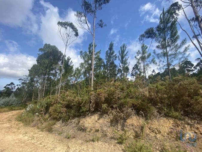 Terreno para Venda em Sopo Foto 2
