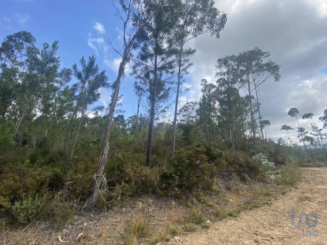 Terreno para Venda em Sopo Foto 10