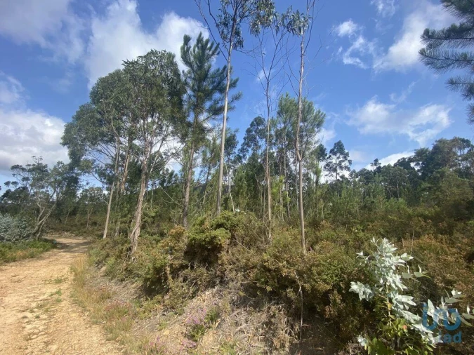 Terreno para Venda em Sopo Foto 3