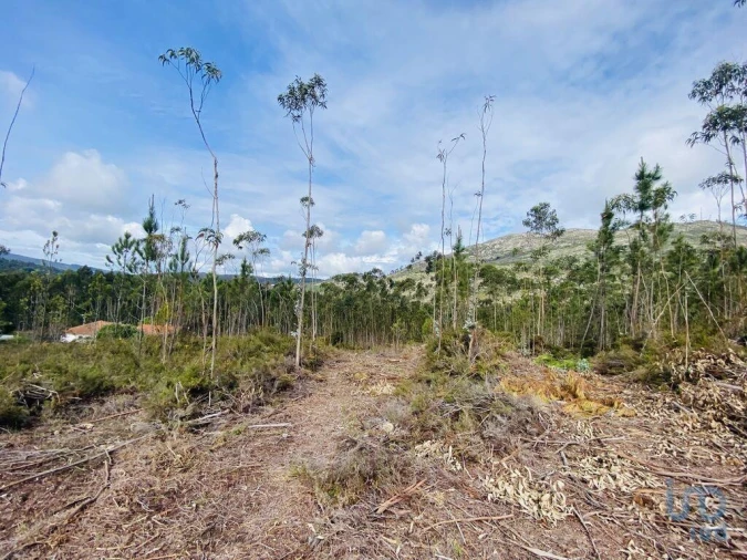 Terreno para Venda em Sopo Foto 11