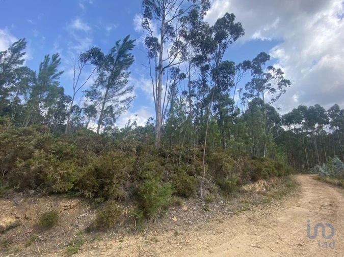 Terreno para Venda em Sopo Foto 6
