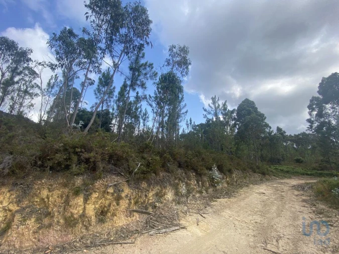 Terreno para Venda em Sopo Foto 1