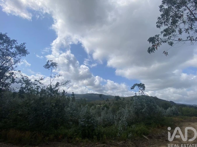 Terreno para Venda em Sopo Foto 22