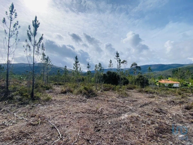 Terreno para Venda em Sopo Foto 14