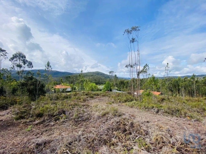 Terreno para Venda em Sopo Foto 15