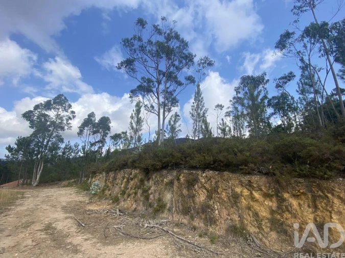 Terreno para Venda em Sopo Foto 18