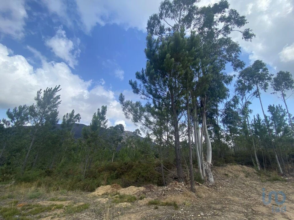 Terreno para Venda em Sopo Foto 5