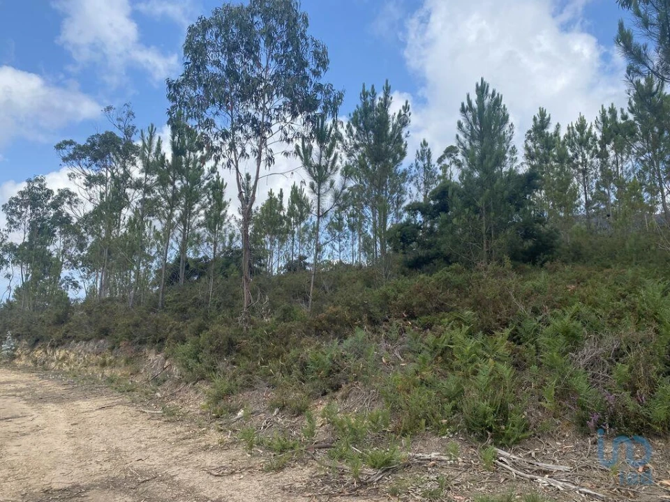 Terreno para Venda em Sopo Foto 8