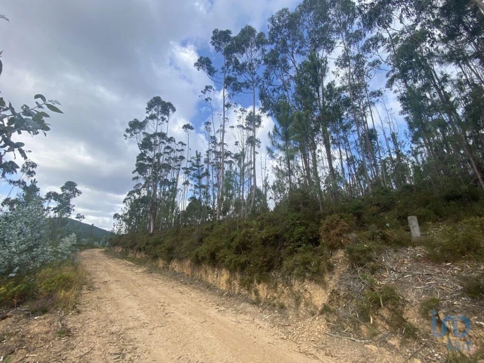 Terreno para Venda em Sopo Foto 4
