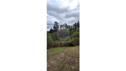 Terreno para Venda em São Martinho do Bispo e Ribeira de Frades