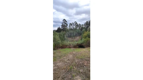 Terreno para Venda em São Martinho do Bispo e Ribeira de Frades