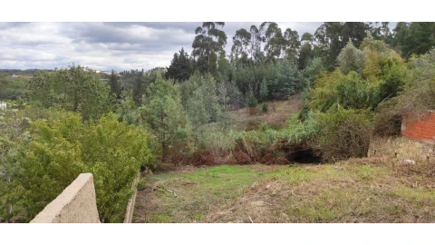 Terreno para Venda em São Martinho do Bispo e Ribeira de Frades