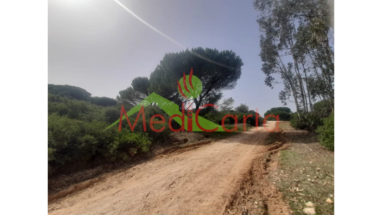 Terreno para Venda em Manique do Intendente, Vila Nova de São Pedro e Maçussa Foto 3