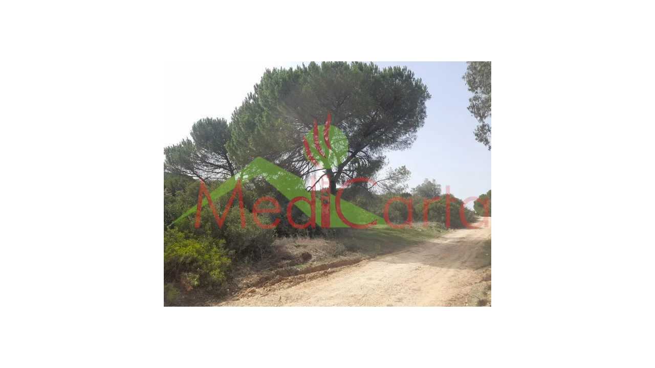 Terreno para Venda em Manique do Intendente, Vila Nova de São Pedro e Maçussa Foto 6