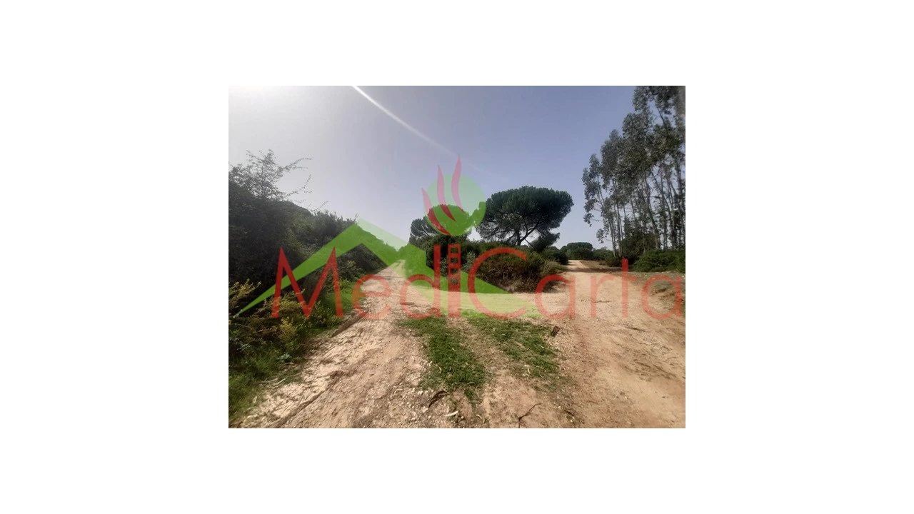 Terreno para Venda em Manique do Intendente, Vila Nova de São Pedro e Maçussa Foto 4