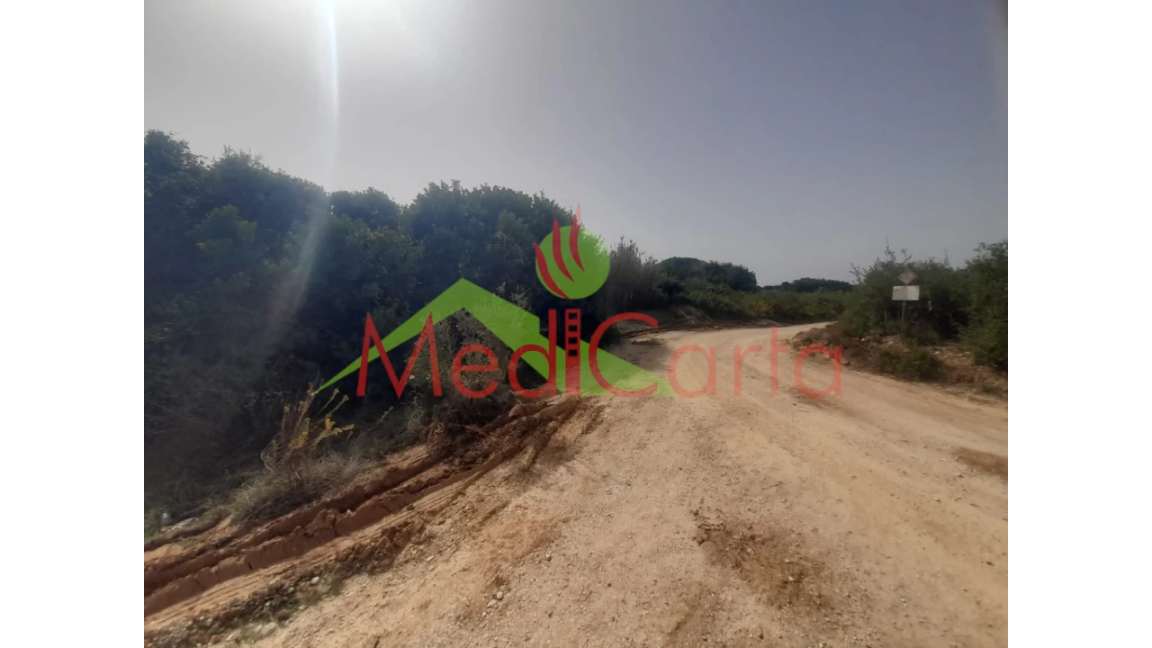 Terreno para Venda em Manique do Intendente, Vila Nova de São Pedro e Maçussa Foto 2