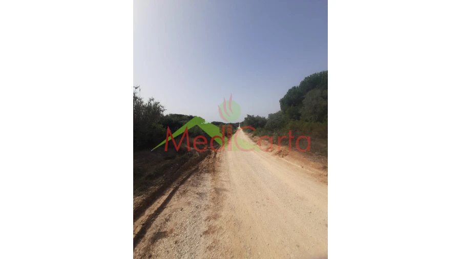 Terreno para Venda em Manique do Intendente, Vila Nova de São Pedro e Maçussa Foto 1