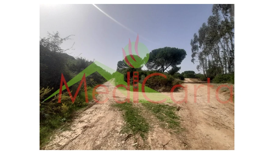 Terreno para Venda em Manique do Intendente, Vila Nova de São Pedro e Maçussa Foto 4