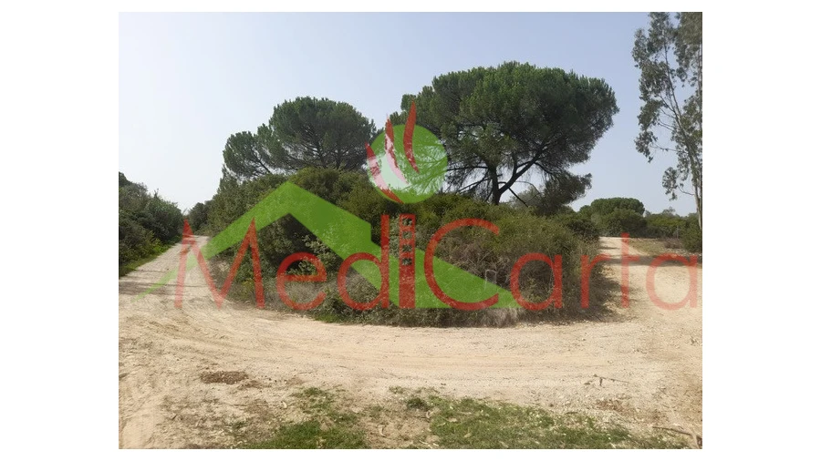 Terreno para Venda em Manique do Intendente, Vila Nova de São Pedro e Maçussa Foto 7