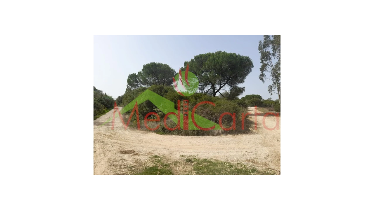 Terreno para Venda em Manique do Intendente, Vila Nova de São Pedro e Maçussa Foto 7