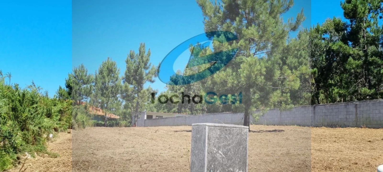 Terreno para Venda em Paramos Foto 19