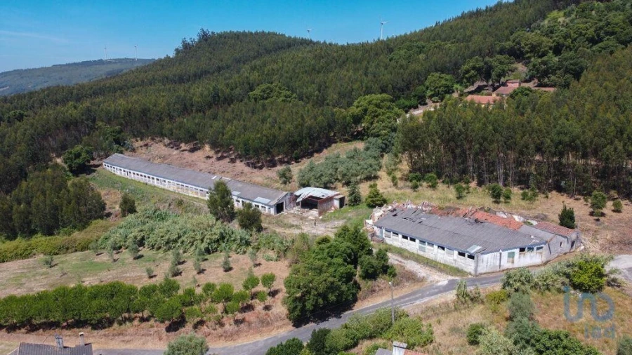 Moradia para Venda em Alcobertas Foto 3