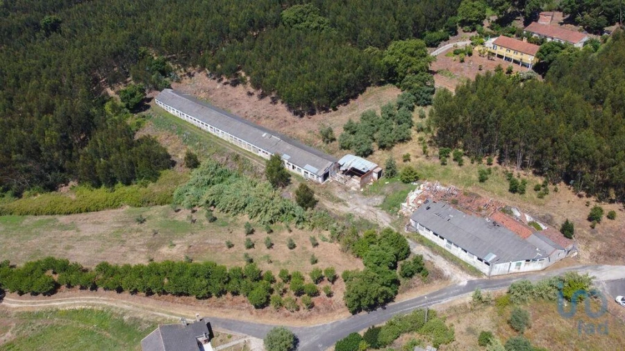 Moradia para Venda em Alcobertas Foto 4