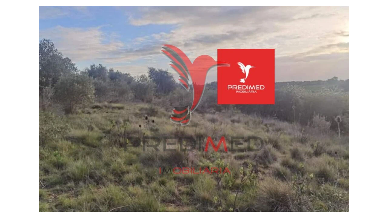 Terreno para Venda em Zibreira Foto 8