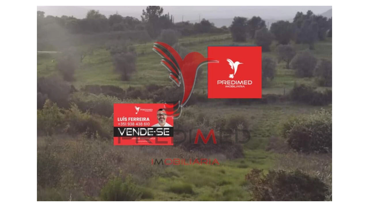 Terreno para Venda em Zibreira Foto 3