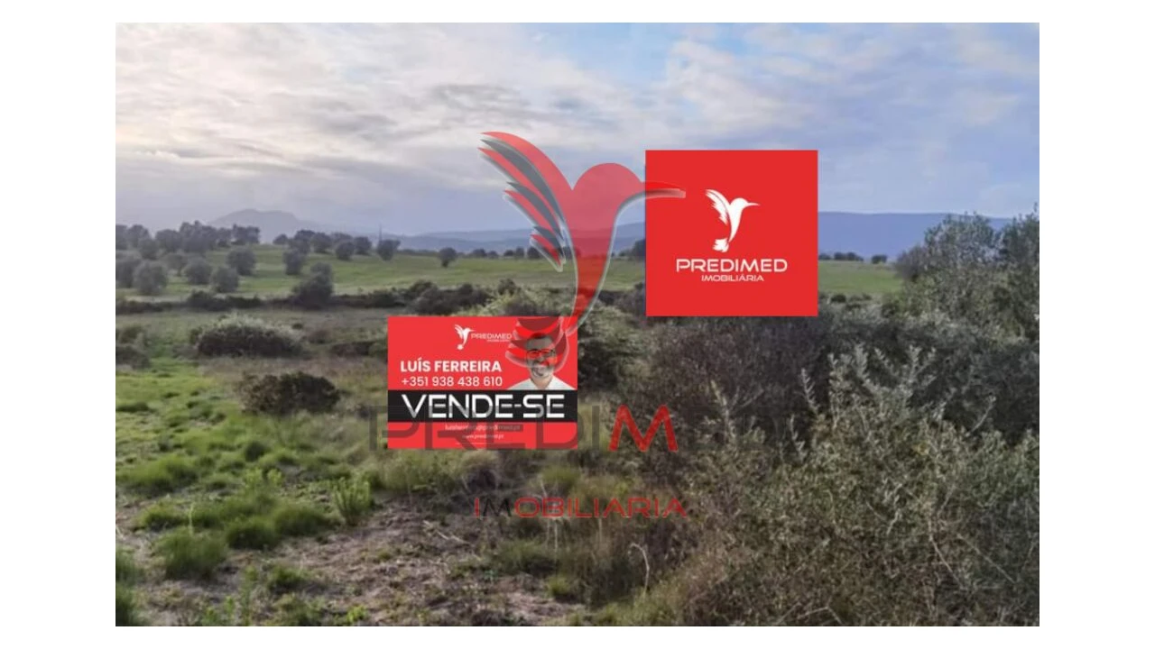 Terreno para Venda em Zibreira Foto 1