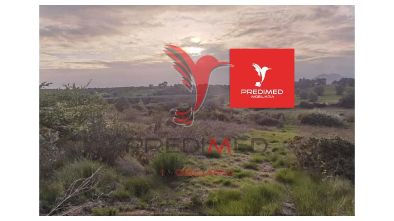 Terreno para Venda em Zibreira Foto 13